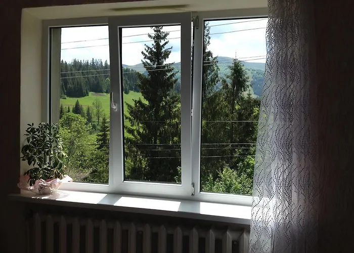 Guest house Na Gorbochku *